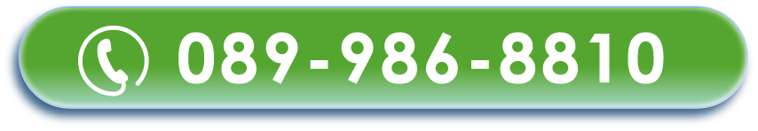 089-986-8810